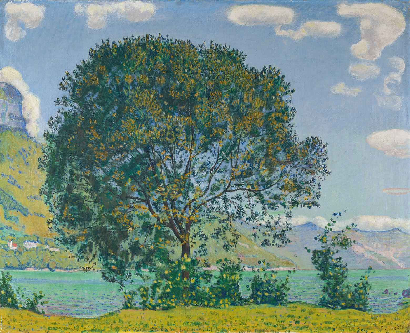 Baum am Brienzersee vom B&ouml;deli aus, um 1906