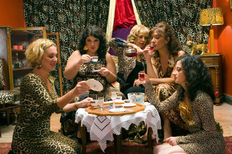 G&uuml;ls&uuml;n Karamustafa - The City and the Secret Panther Fashion, 2007, 2007