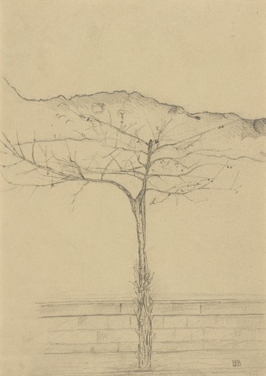 Umberto Boccioni - &Eacute;tude d&rsquo;arbre, 1902, 1992